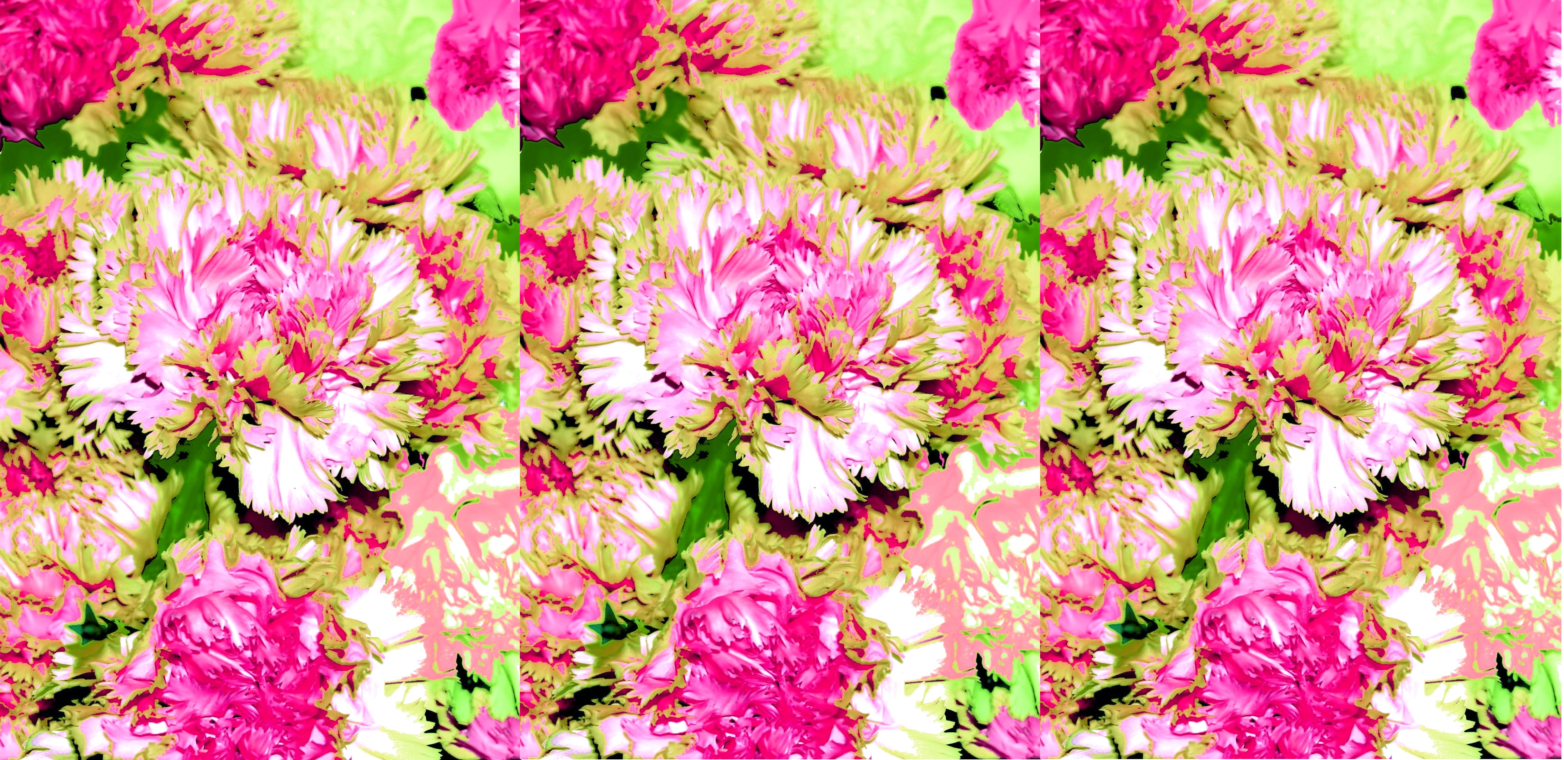 Fondo Claveles2